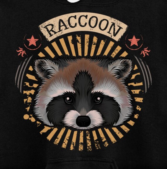 Cute Raccoon Pullover Hoodie
